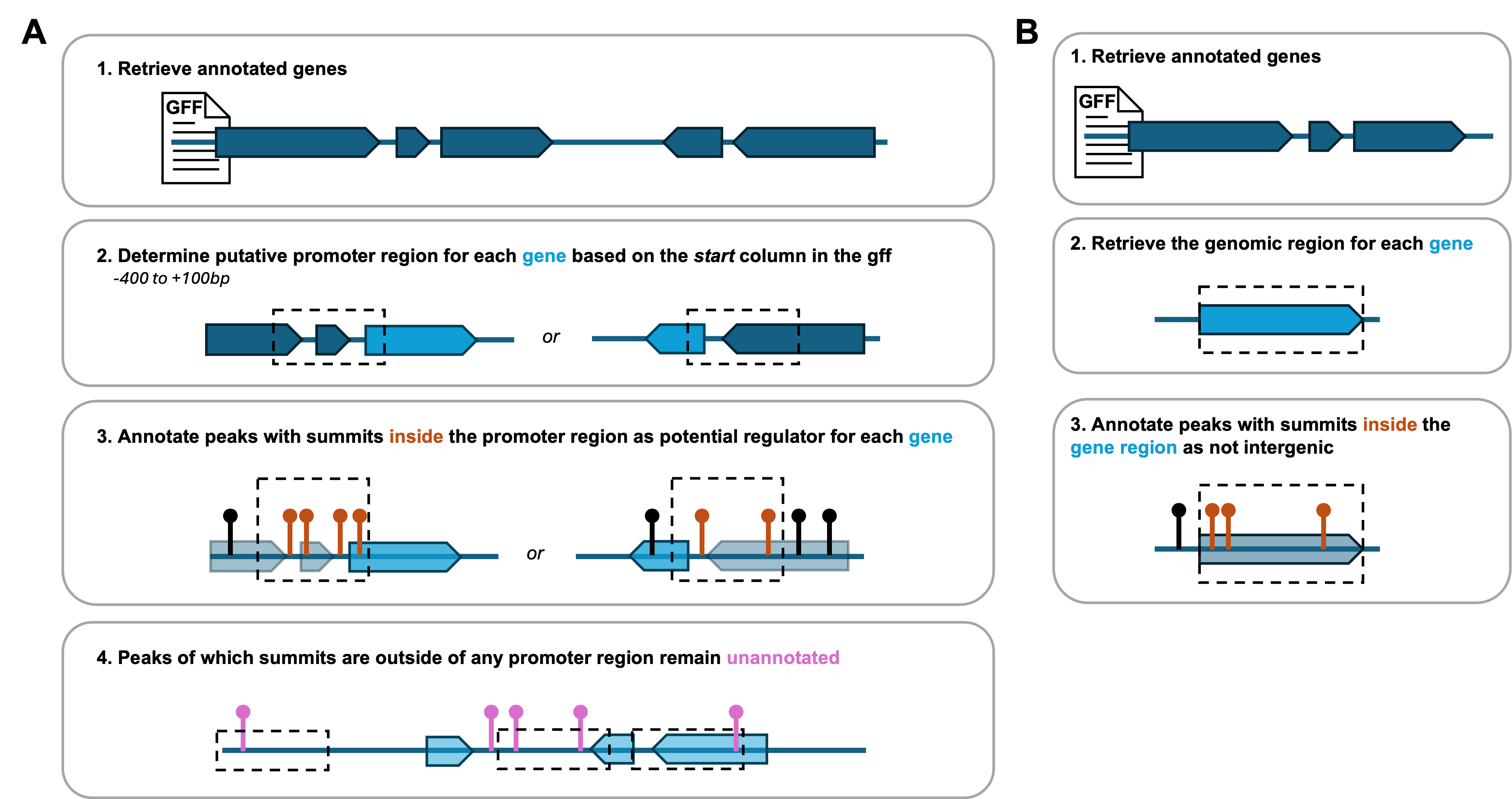 Schematic overview of peak annotation method.