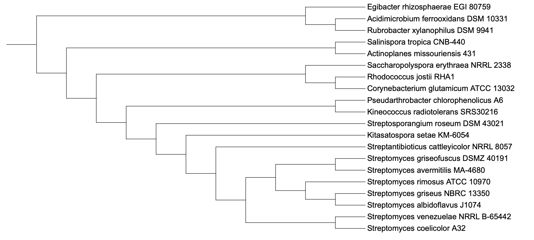 Phylogenetic tree of the species in the multiDAP-seq dataset.