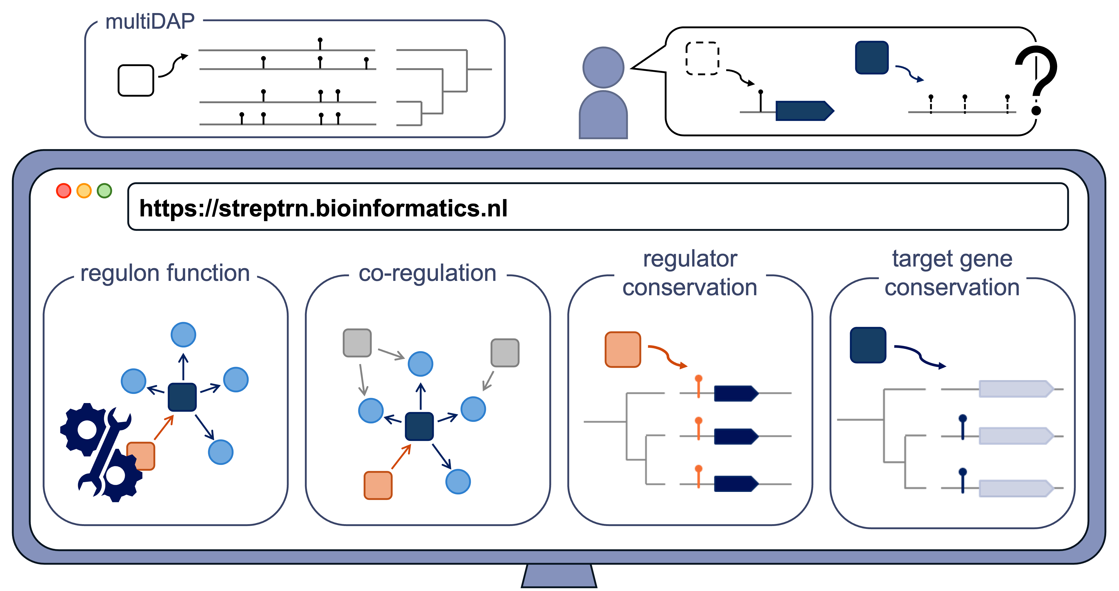 Schematic overview of the StrepTRN portal.